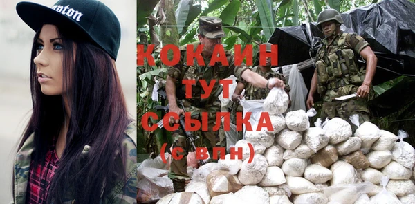 спайс Горняк